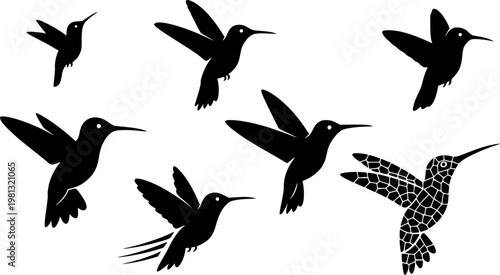 Hummingbird silhouettes set and geometric mosaic bird illustration. Design for wall decals, logos, or laser cutting patterns. Transparent background EPS version.