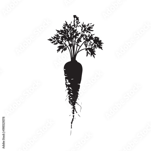 Fresh Carrot with Greens Silhouette Vector Illustration