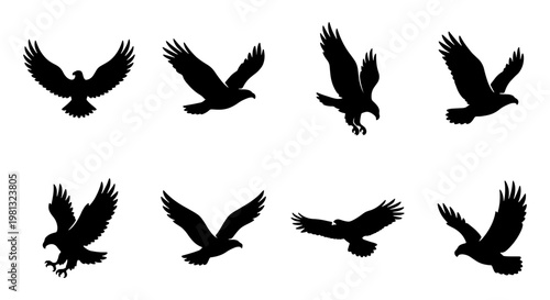Eagle silhouette collection with 8 vector elements, flying hawk and predatory bird icons, black raptor shapes for nature and wildlife design
