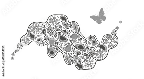 A scientific illustration depicting cell division, evoking concepts of growth, regeneration, and biological processes. Ideal for educational materials