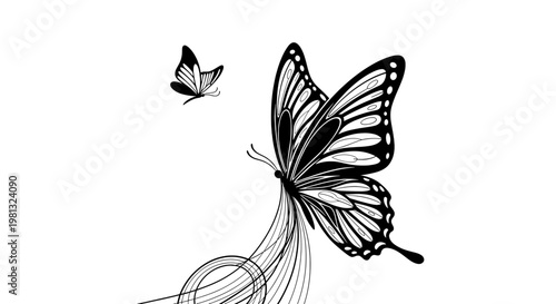 A pristine white background evokes a feeling of purity and simplicity, ideal for product displays, website design, or any project needing a clean, unc