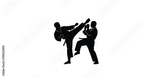 Dynamic black silhouettes of two skilled martial artists are captured in a powerful sparring pose featuring a high side kick against a white background.