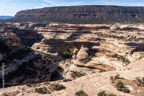 Fotografía Natural Bridges National Monument in Utah