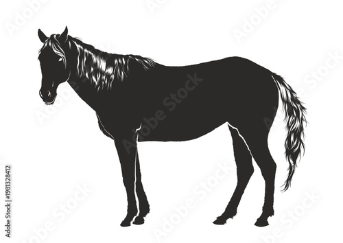 black silhouette of a standing horse isolated on a white background with detailed mane and tail