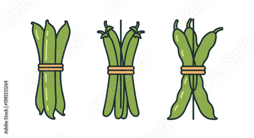Green Bean Bundle Line art minimal modern abstract illustration