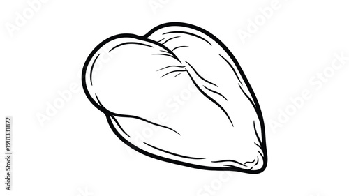 Hand drawn line art illustration of a raw chicken breast meat fillet on a white background for cooking and coloring page