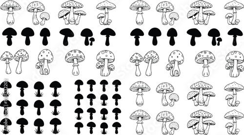 Hand drawn mushroom set with various fungi silhouettes and detailed botanical sketches, vintage engraving style collection, seamless pattern elements isolated on white background