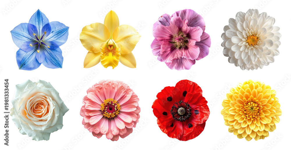 Fototapeta premium PNG Vibrant colorful floral arrangement on transparent background