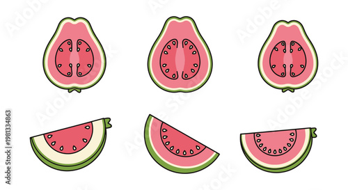 Guava Slice Line art vector abstract minimal shapes illustration