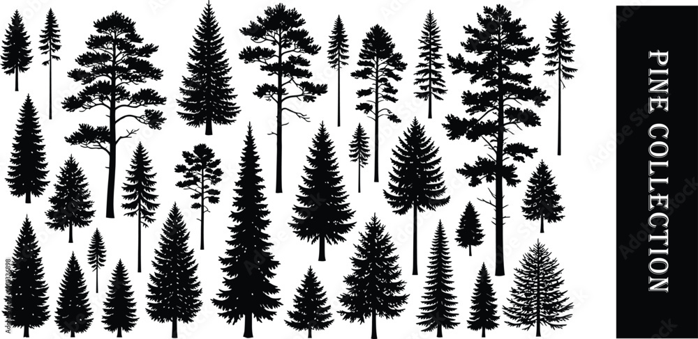Fototapeta premium Forest silhouette a dense collection of trees in black and white