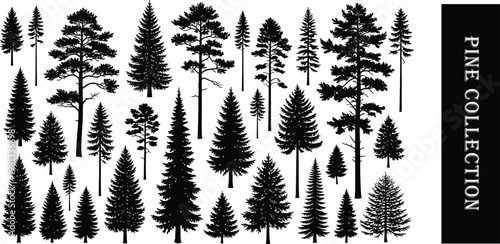 Forest silhouette a dense collection of trees in black and white