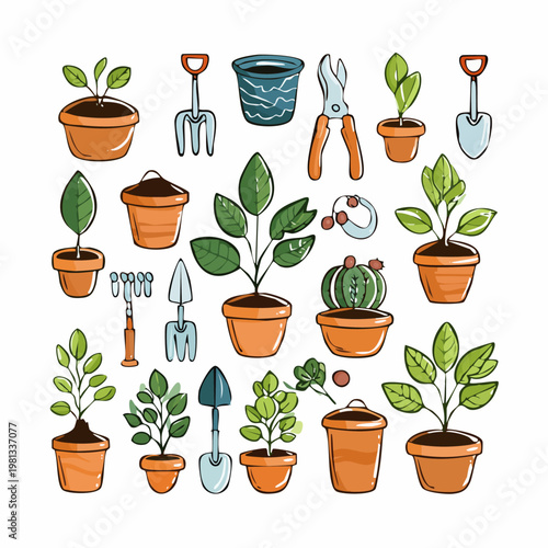 Collection of potted plants and gardening tools.