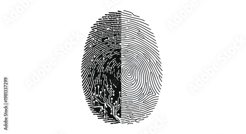 Fingerprint split in half with contrasting patterns
