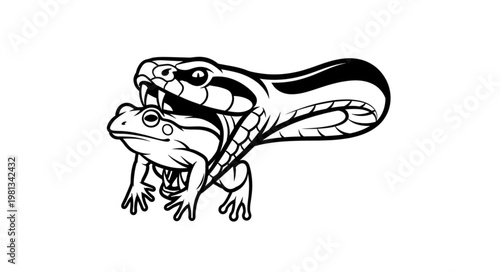 Snake Attacking Frog Illustration.