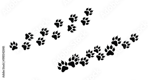 A trail of animal paw prints in a distinct black silhouette