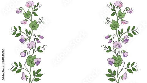 Two elegant vertical borders of blooming sweet pea flowers with purple blossoms and green leaves on a white background.