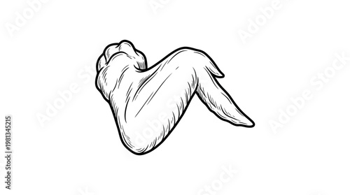 Detailed hand-drawn illustration of a single raw chicken wing, perfect for culinary content, food preparation guides, or restaurant menu designs, emphasizing fresh poultry