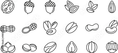 Collection of various nuts and seed icons in a clean modern outline style