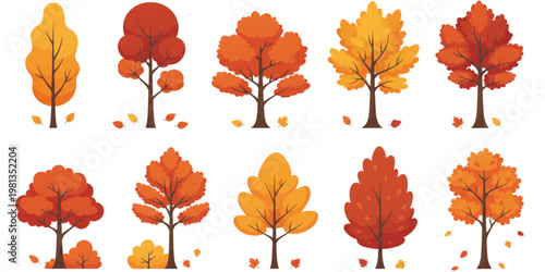 A colorful vector graphic illustration of autumn trees with vibrant orange, red, and yellow leaves on a white background
