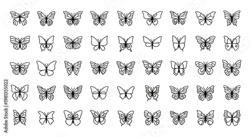 Collection of various butterfly illustrations.