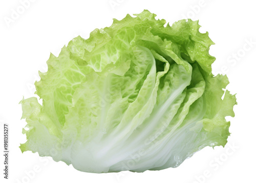 PNG Iceberg lettuce vegetable plant food.