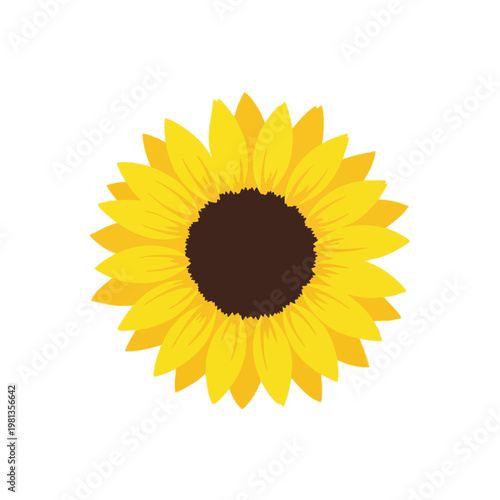 Bright and cheerful sunflower in full bloom perfect for summer and nature themed projects