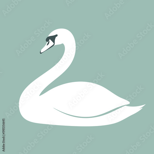 Elegant White Swan Floating on Calm Water in Serene Nature Setting