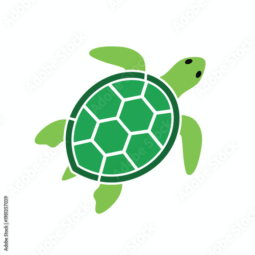 Cute Green Turtle Swimming in Clear Ocean Water