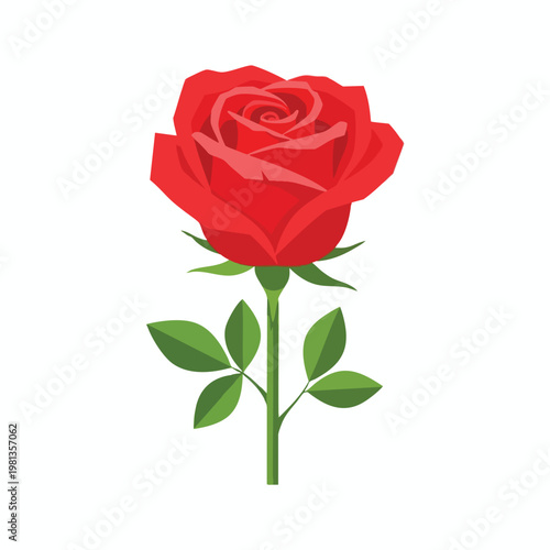 Beautiful Red Rose Flower for Floral Decor and Gifts