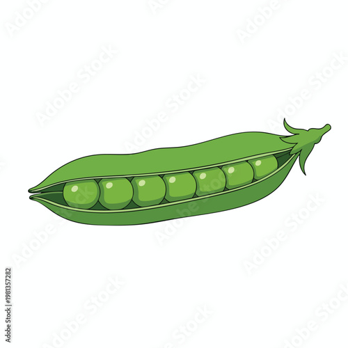 Fresh Green Pea Pod with Edible Peas Vegetarian Food Natural Produce Healthy Snack