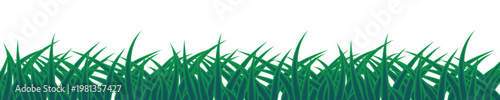 Vector green grass: natural, organic, bio, eco label and shape on white background