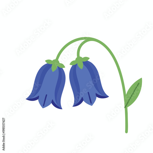 Delicate Blue Bell Flowers Hanging on a Green Stem in a Natural Setting