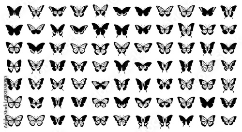 Collection of various butterfly silhouettes.