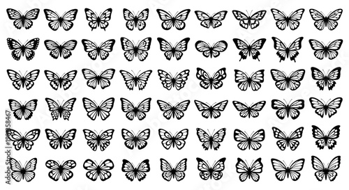 Collection of various butterfly illustrations.