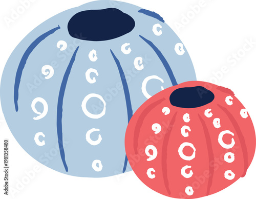 Sea Urchin Pair Abstract