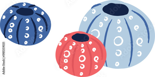 Sea Urchin Trio Abstract
