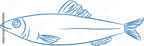 Sardine Side View Sketch