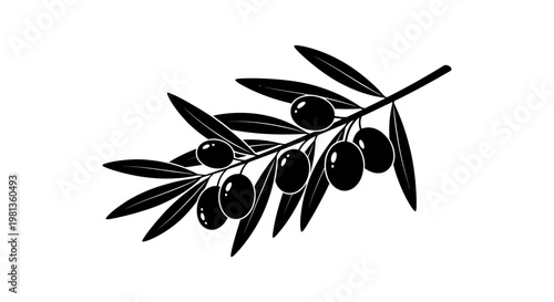 Elegant olive branch with dark fruit and leaves a striking silhouette