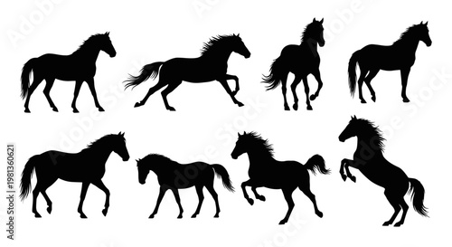 Collection of horse silhouettes in various dynamic poses a striking silhouette