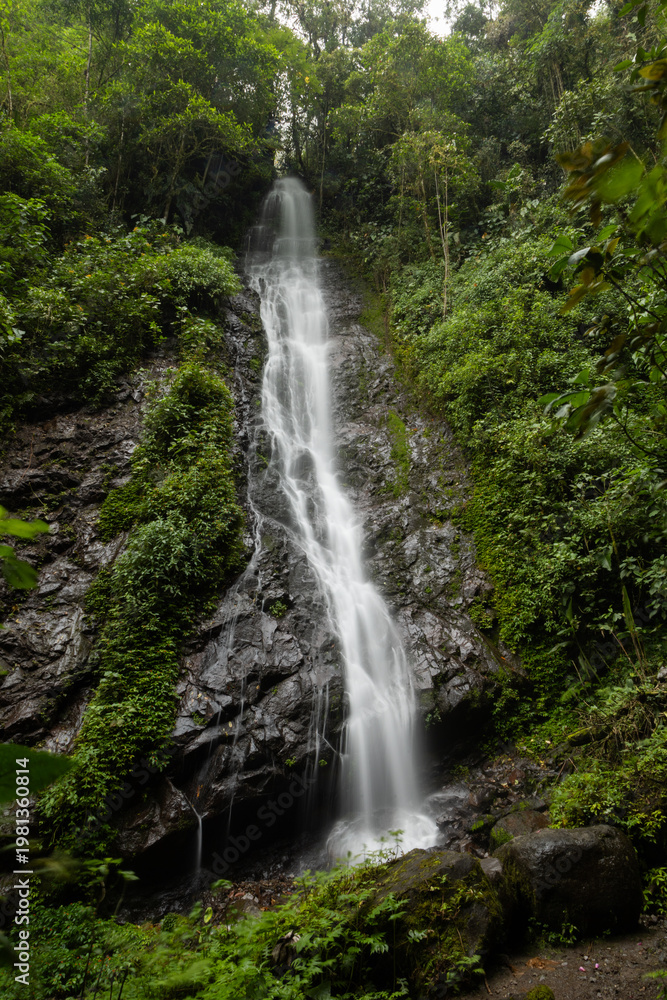 Obraz premium Natural waterfall flowing down rocky terrain surrounded by dense green vegetation in a peaceful environment.