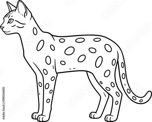 vector image of a savannah cat