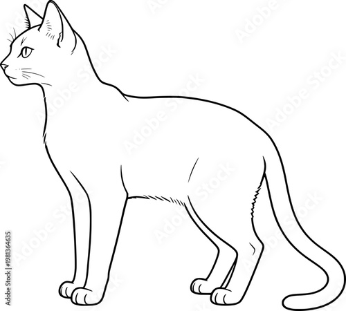 black and white outline of siamese cat