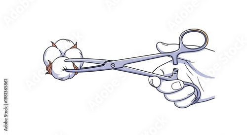 Detailed Vector illustration of a hand using surgical forceps to hold sterile cotton, depicting a medical procedure preparation or examination step for patient care