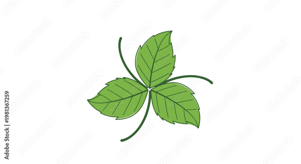 Fototapeta premium A vibrant hand drawn illustration depicts a three leaf clover against a clean white background