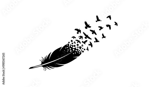 Crow birds from feather silhouette vector abstract flying bird concept isolated on white background
