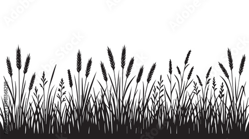 Golden wheat field silhouette at sunset with dramatic backlighting and natural grain texture