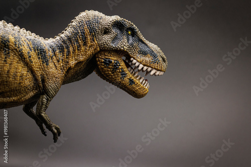 Close-up of a Tyrannosaurus rex toy figure with detailed texture and shallow depth of field, isolated against a blurred neutral background, illustrating prehistoric wildlife and educational toys.