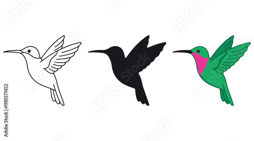 Three stylized hummingbirds in flight illustration with vibrant colors and minimalist design