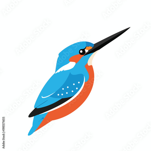 Colorful Illustration of a Kingfisher Bird with a Sharp Beak