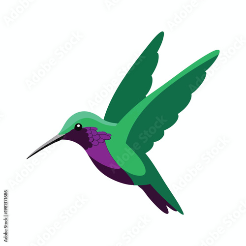 Vibrant Hummingbird with Outstretched Wings in Free Flight
